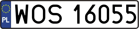 WOS16055