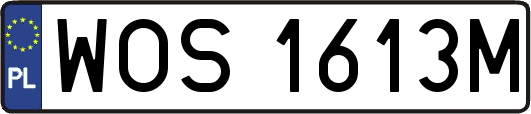 WOS1613M