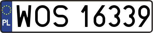 WOS16339