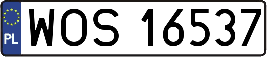 WOS16537