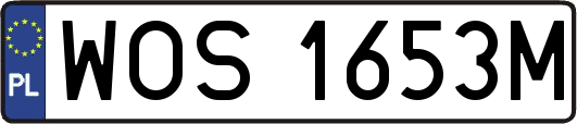 WOS1653M