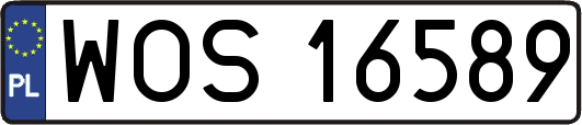 WOS16589