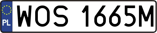 WOS1665M