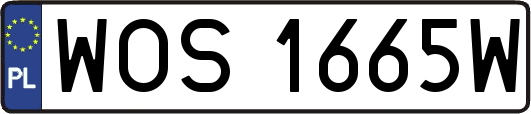 WOS1665W