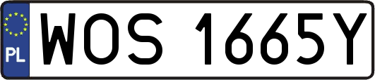 WOS1665Y