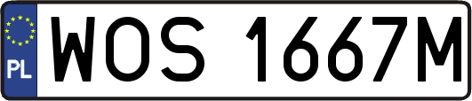 WOS1667M