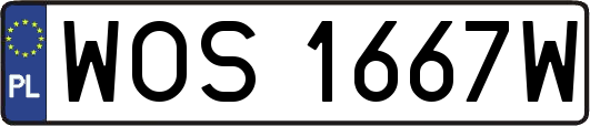 WOS1667W