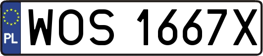 WOS1667X