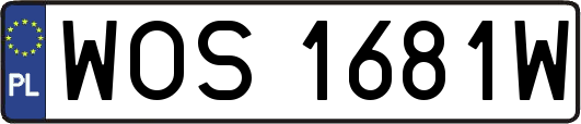 WOS1681W