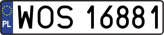 WOS16881