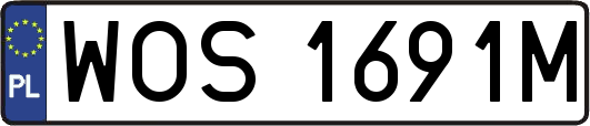 WOS1691M