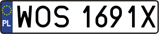 WOS1691X