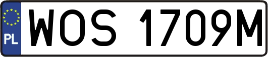WOS1709M