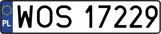 WOS17229