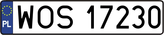 WOS17230