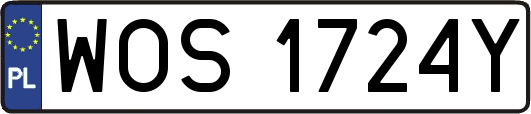 WOS1724Y