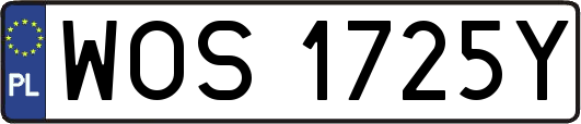 WOS1725Y