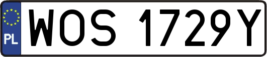 WOS1729Y