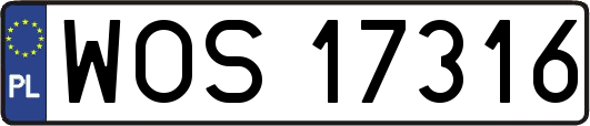 WOS17316