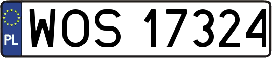 WOS17324
