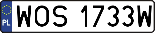 WOS1733W