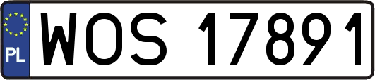 WOS17891