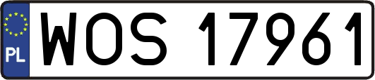 WOS17961