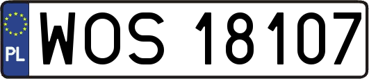 WOS18107