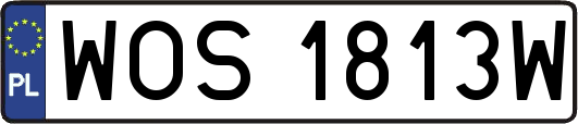 WOS1813W