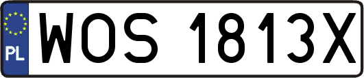 WOS1813X