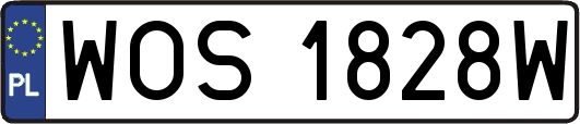WOS1828W