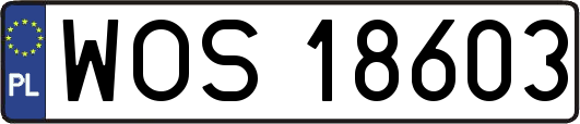 WOS18603