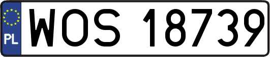 WOS18739