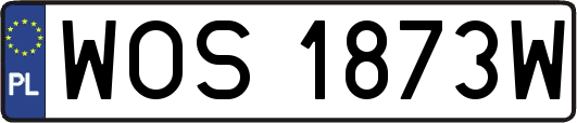 WOS1873W