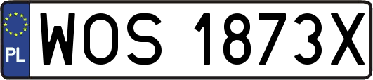 WOS1873X