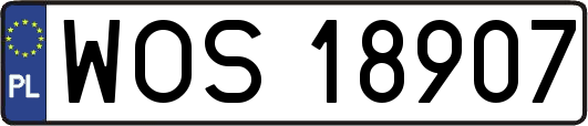 WOS18907