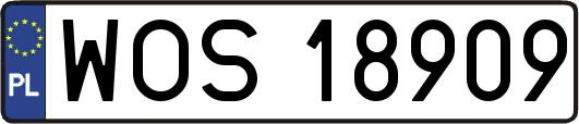 WOS18909