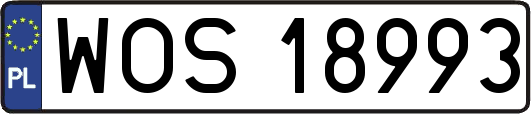 WOS18993