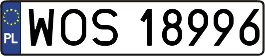 WOS18996