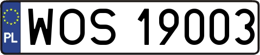 WOS19003