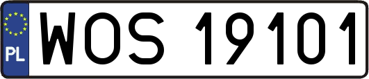 WOS19101