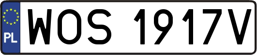 WOS1917V