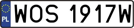WOS1917W
