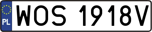 WOS1918V