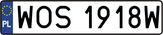 WOS1918W