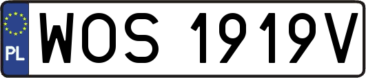 WOS1919V