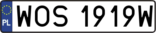 WOS1919W