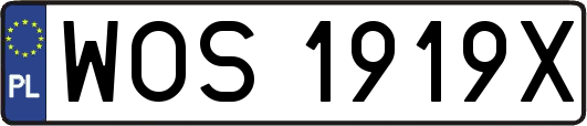 WOS1919X