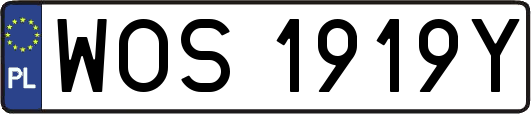WOS1919Y
