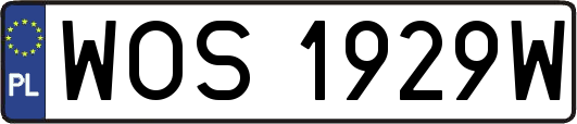 WOS1929W